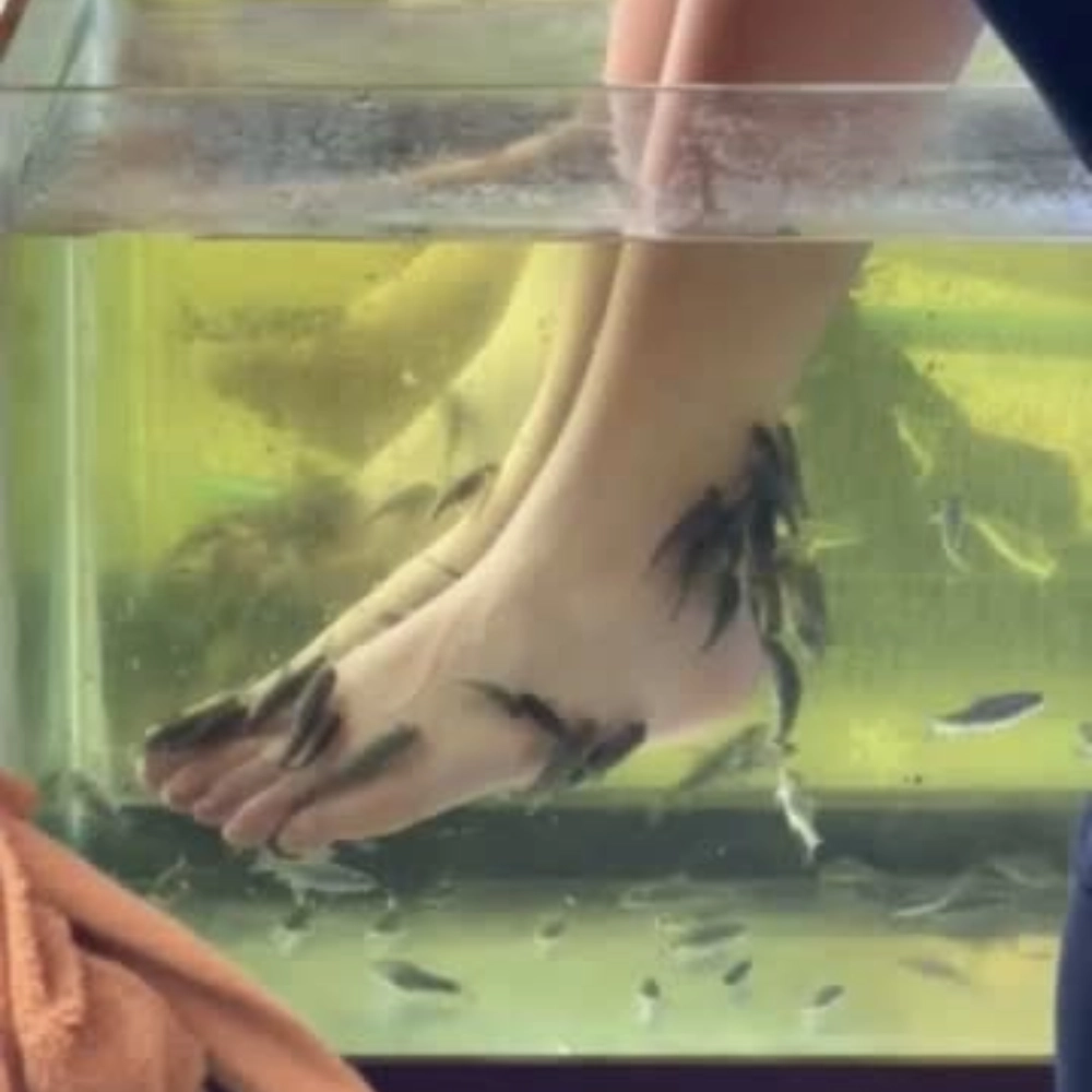 Fish Feet Cleaning